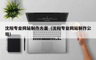 平邑沈阳专业网站制作方案（沈阳专业网站制作公司）